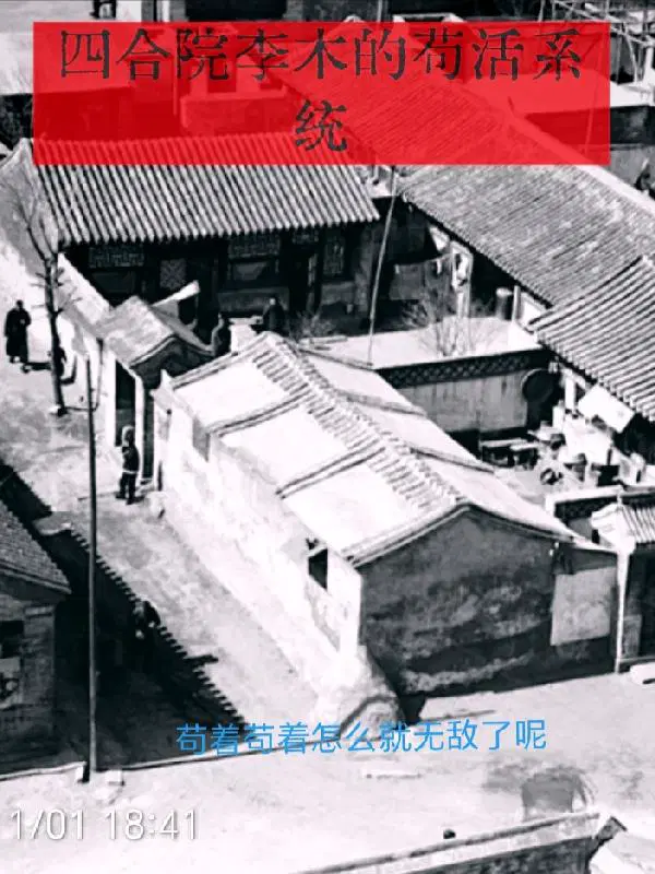四合院李木的苟活系统