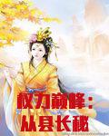 权力巅峰：从县长秘书开始