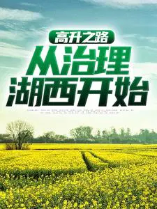 高升之路：从治理湖西开始